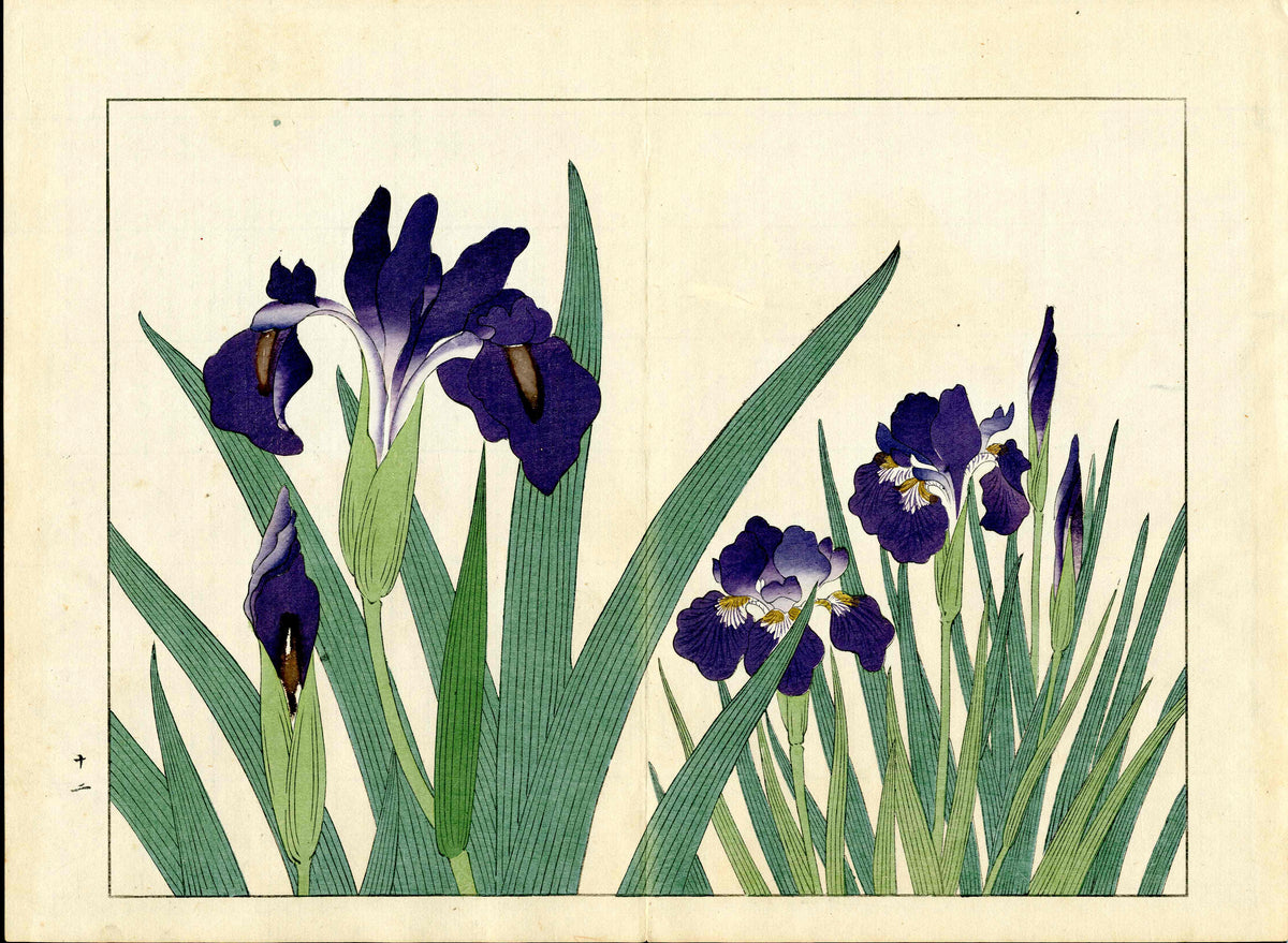 Four Seasons of Flowers 1907 Woodblock Blue Iris Tomioka Tessai