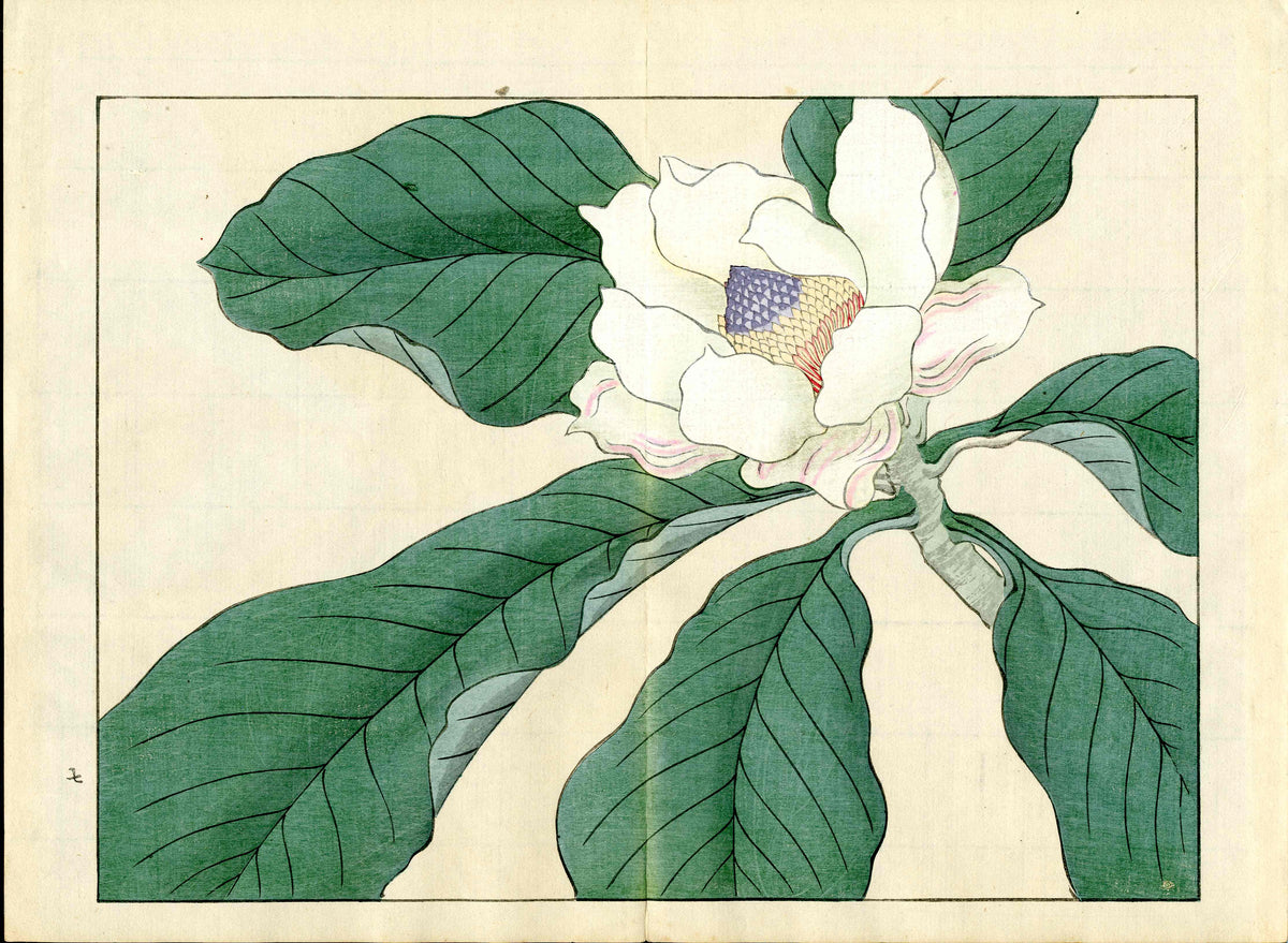 Four Seasons of Flowers 1907 Woodblock Magnolia Tomioka Tessai