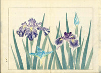 Four Seasons of Flowers 1907 Woodblock 3 Iris Tomioka Tessai