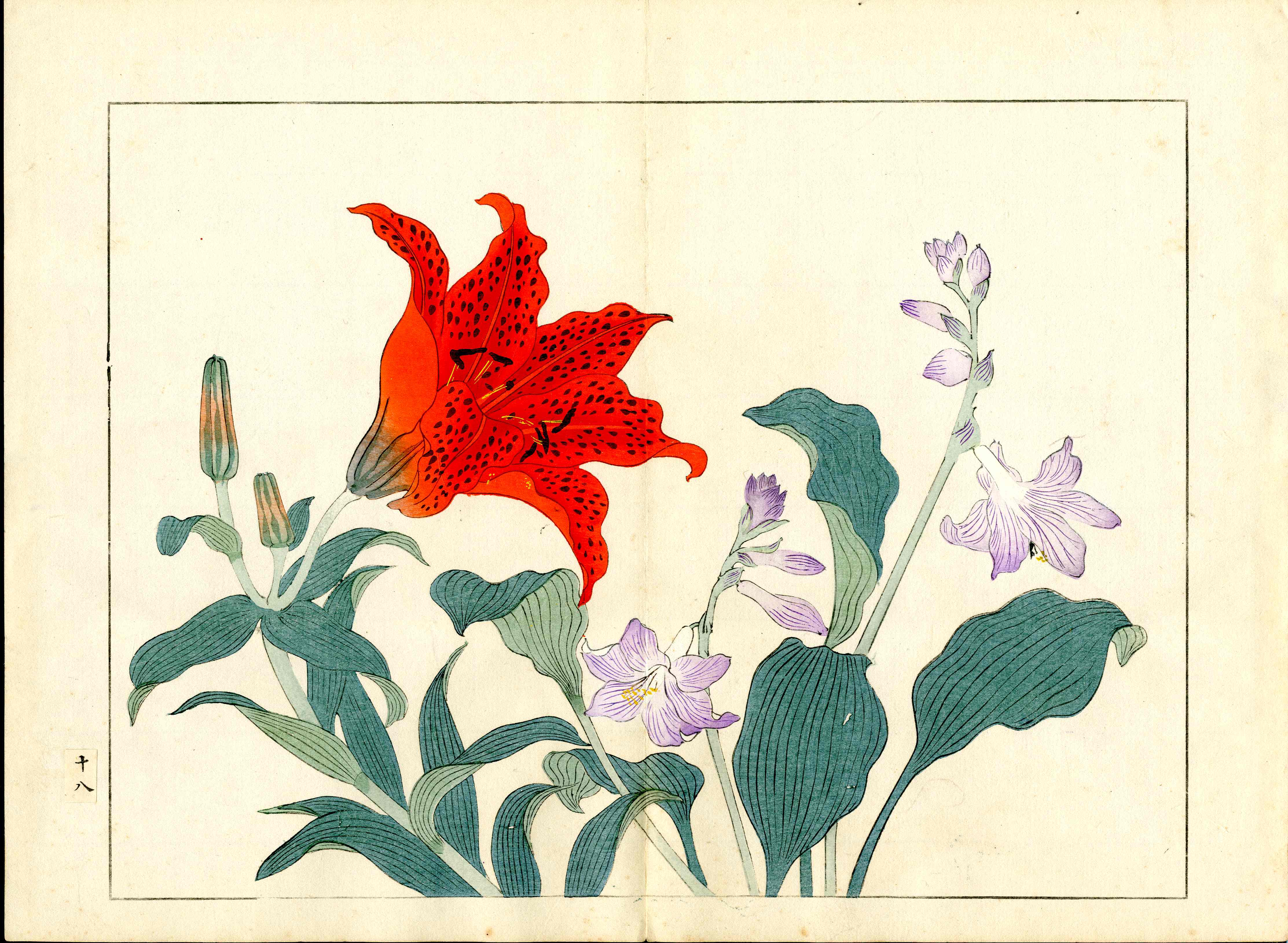 Four Seasons of Flowers 1907 Woodblock Orange Lilly Tomioka Tessai