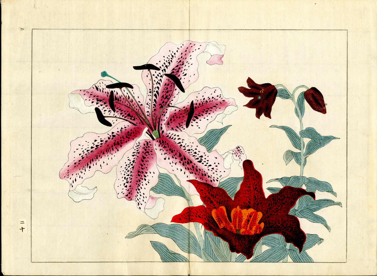 Four Seasons of Flowers 1907 Woodblock White, Orange Lilly Tomioka Tessai