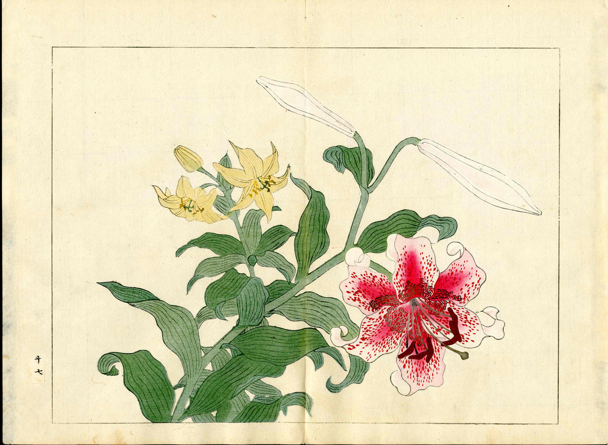 Four Seasons of Flowers 1907 Woodblock Red, Yellow Lilly Tomioka Tessai