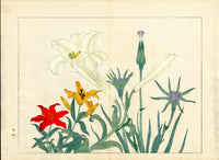 Four Seasons of Flowers 1907 Woodblock 3 Colorful Lillies Tomioka Tessai