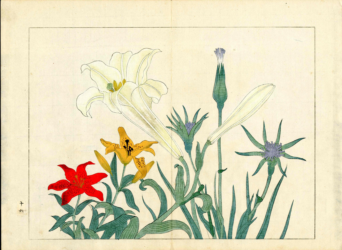 Four Seasons of Flowers 1907 Woodblock 3 Colorful Lillies Tomioka Tessai