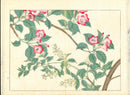 Four Seasons of Flowers 1907 Woodblock Apple Blossom Tomioka Tessai