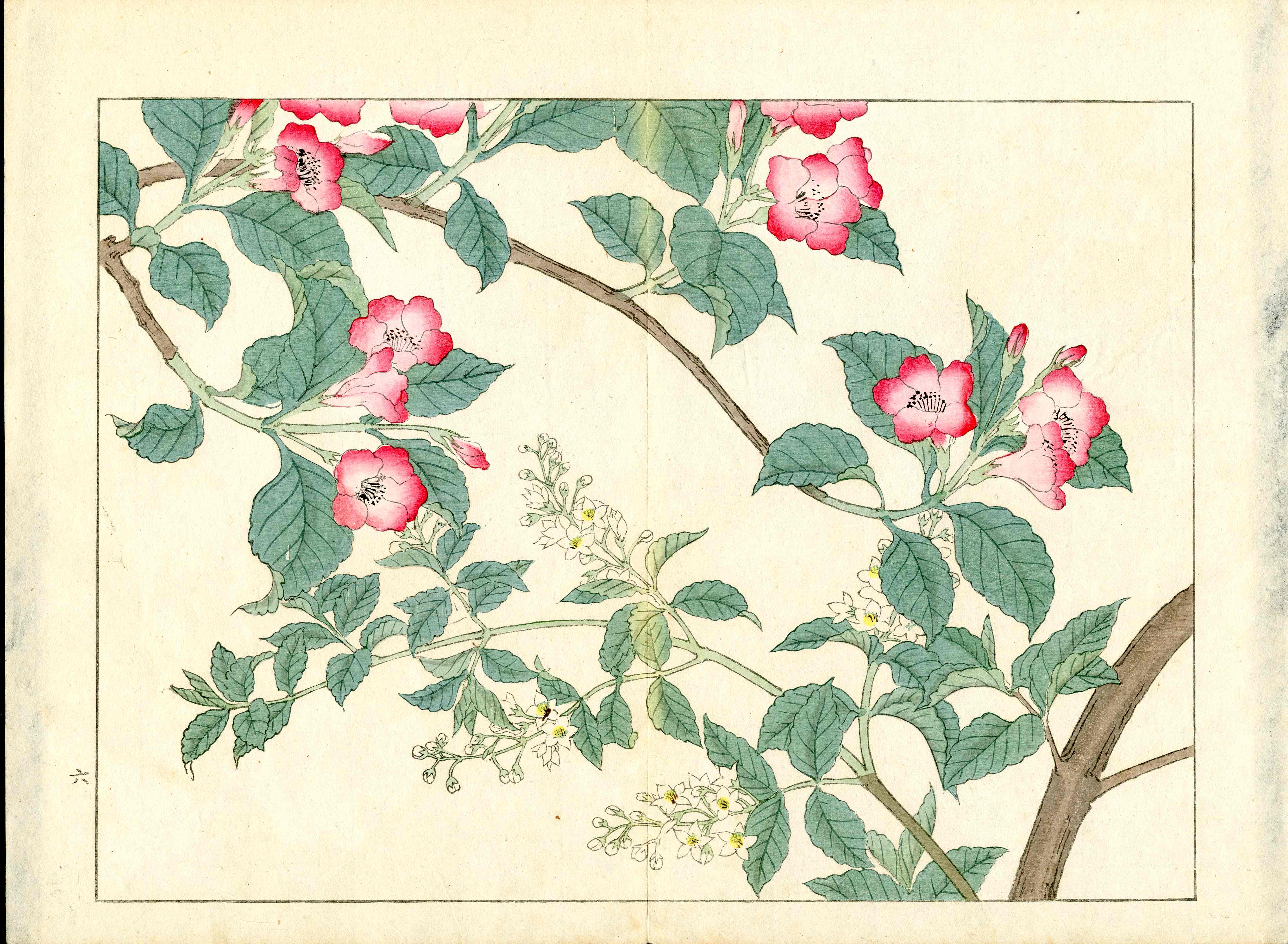 Four Seasons of Flowers 1907 Woodblock Apple Blossom Tomioka Tessai