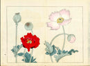 Four Seasons of Flowers 1907 Woodblock Red, Pink Poppy Tomioka Tessai