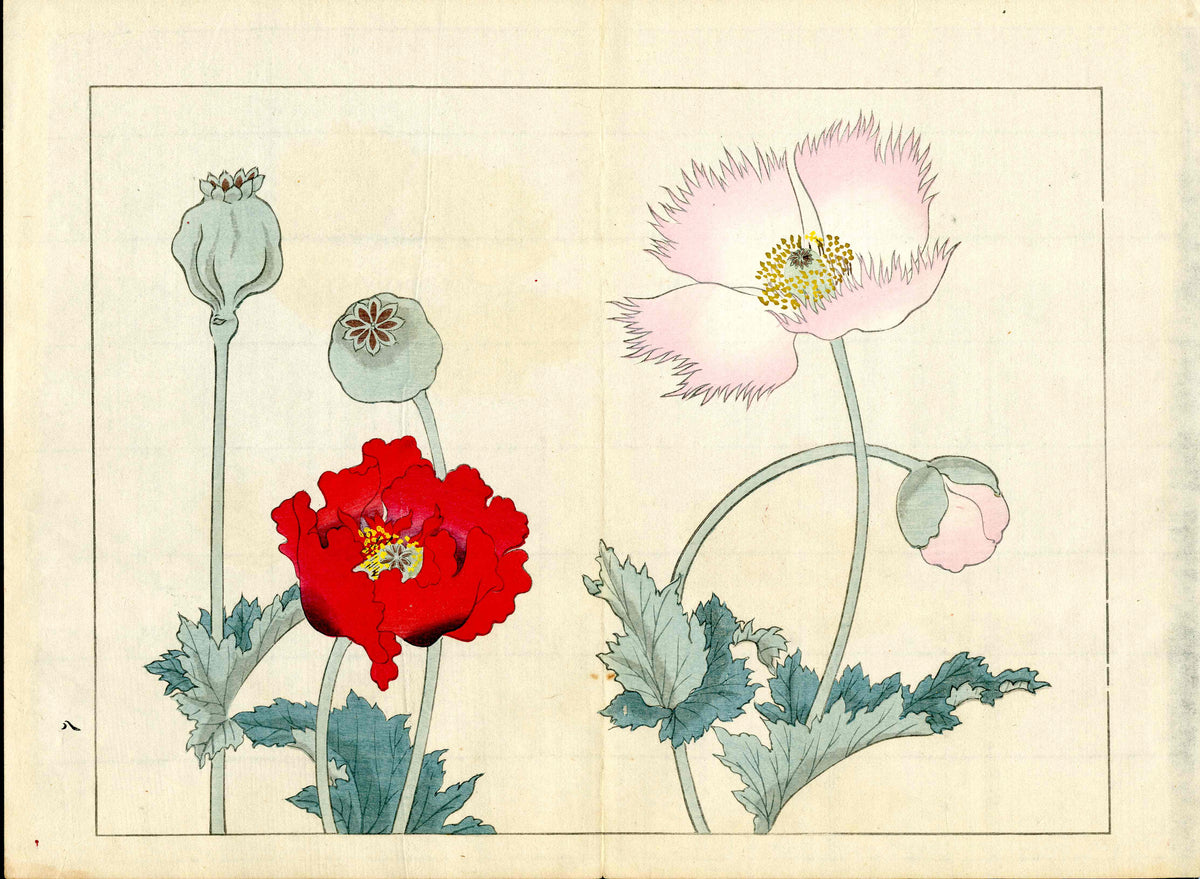Four Seasons of Flowers 1907 Woodblock Red, Pink Poppy Tomioka Tessai