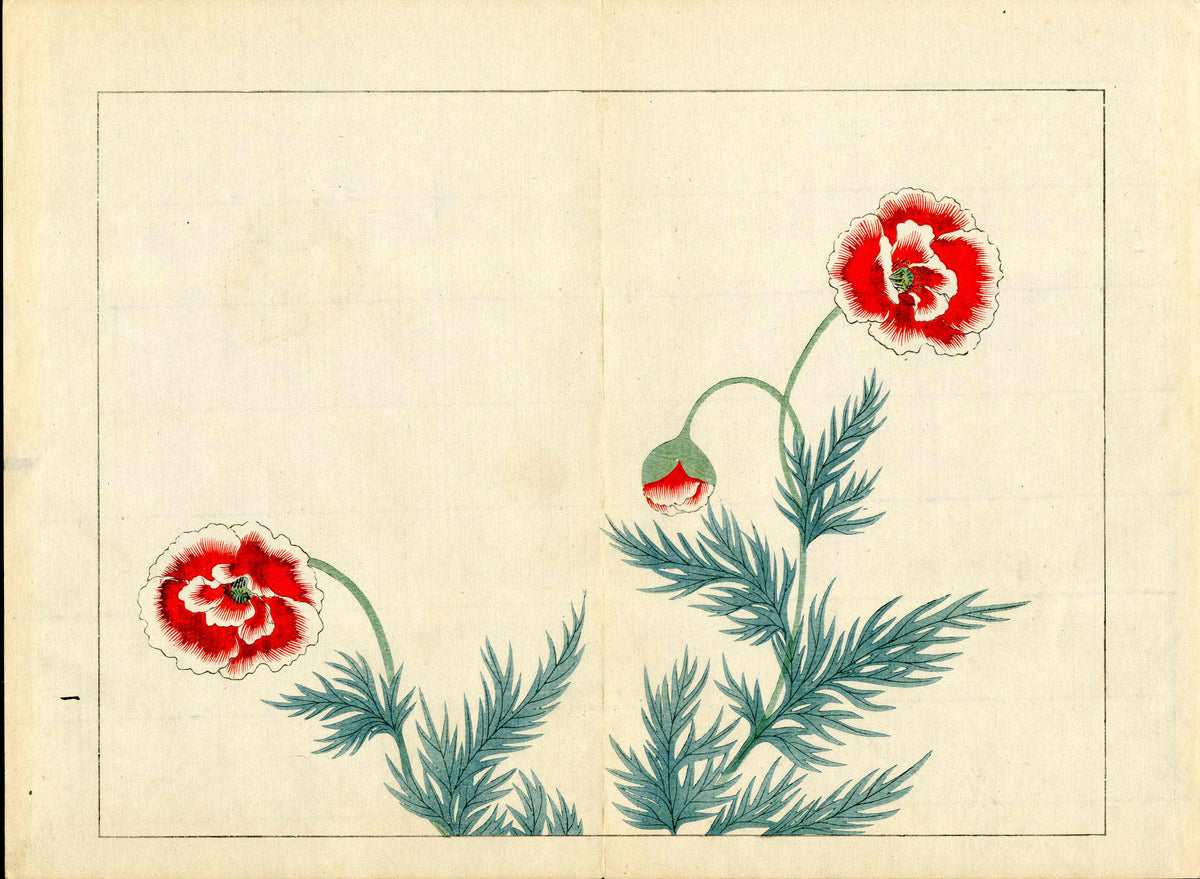 Four Seasons of Flowers 1907 Woodblock Pink Poppy Tomioka Tessai