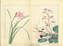 Four Seasons of Flowers 1907 Woodblock Pink Lily, White Bloom Tomioka Tessai