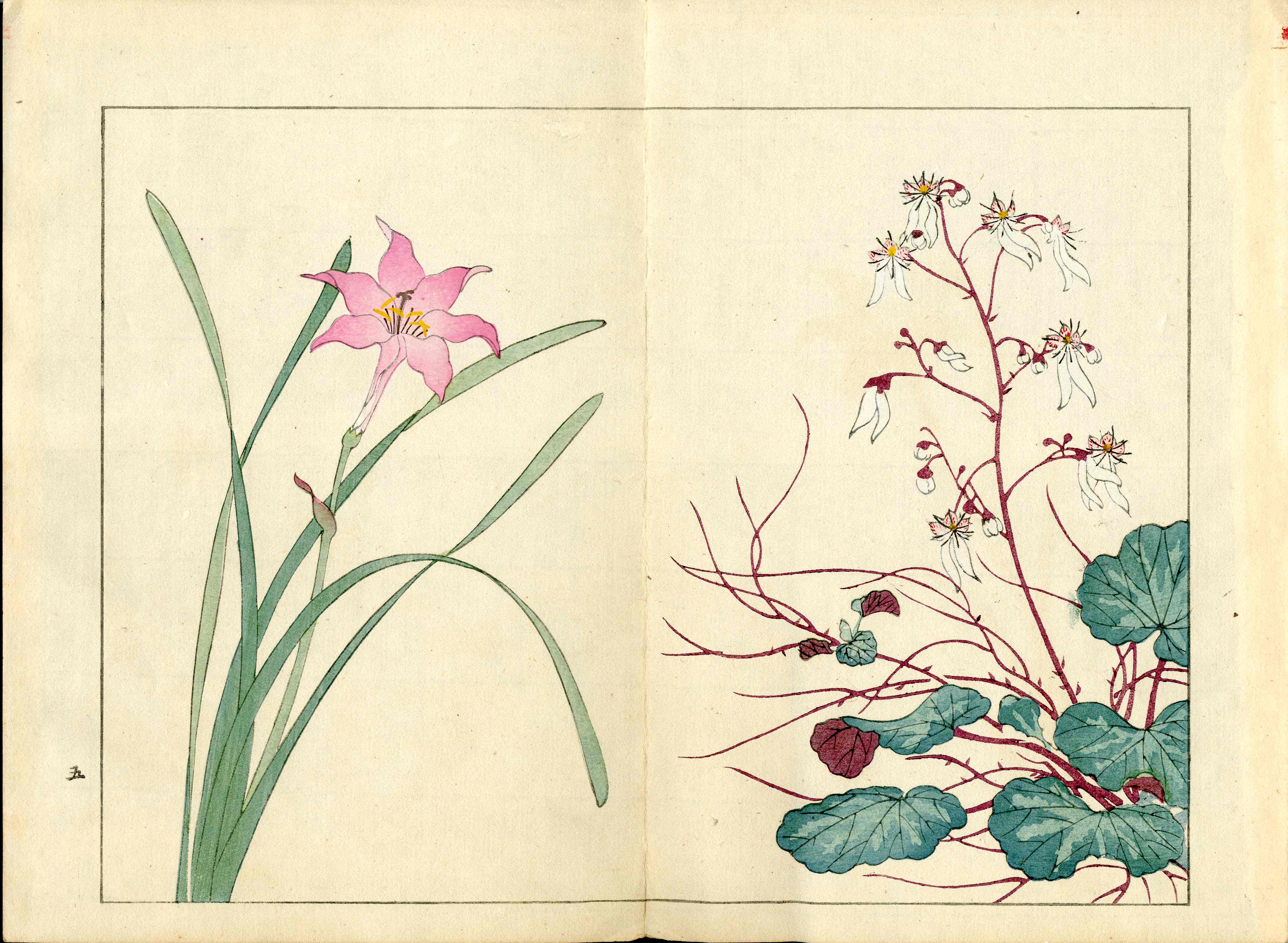 Four Seasons of Flowers 1907 Woodblock Pink Lily, White Bloom Tomioka Tessai