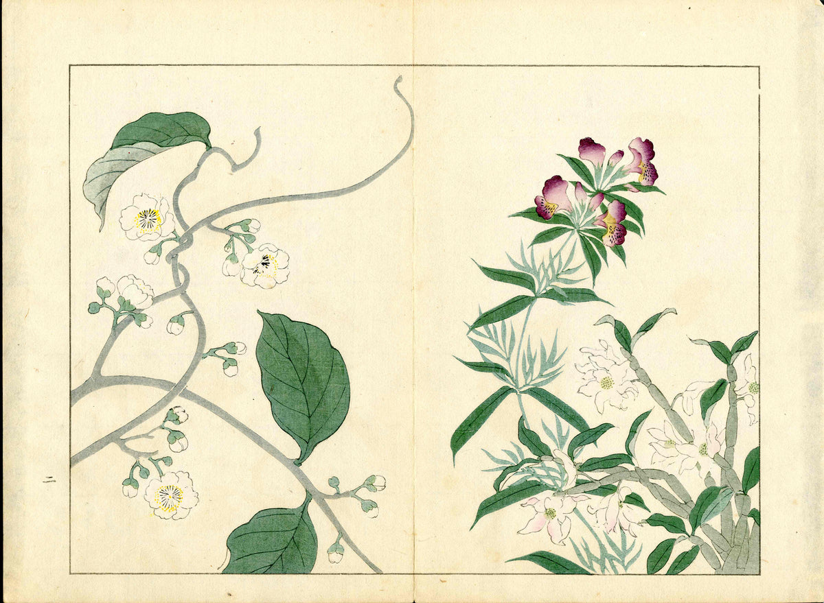 Four Seasons of Flowers 1907 Woodblock Purple, White Vines Tomioka Tessai