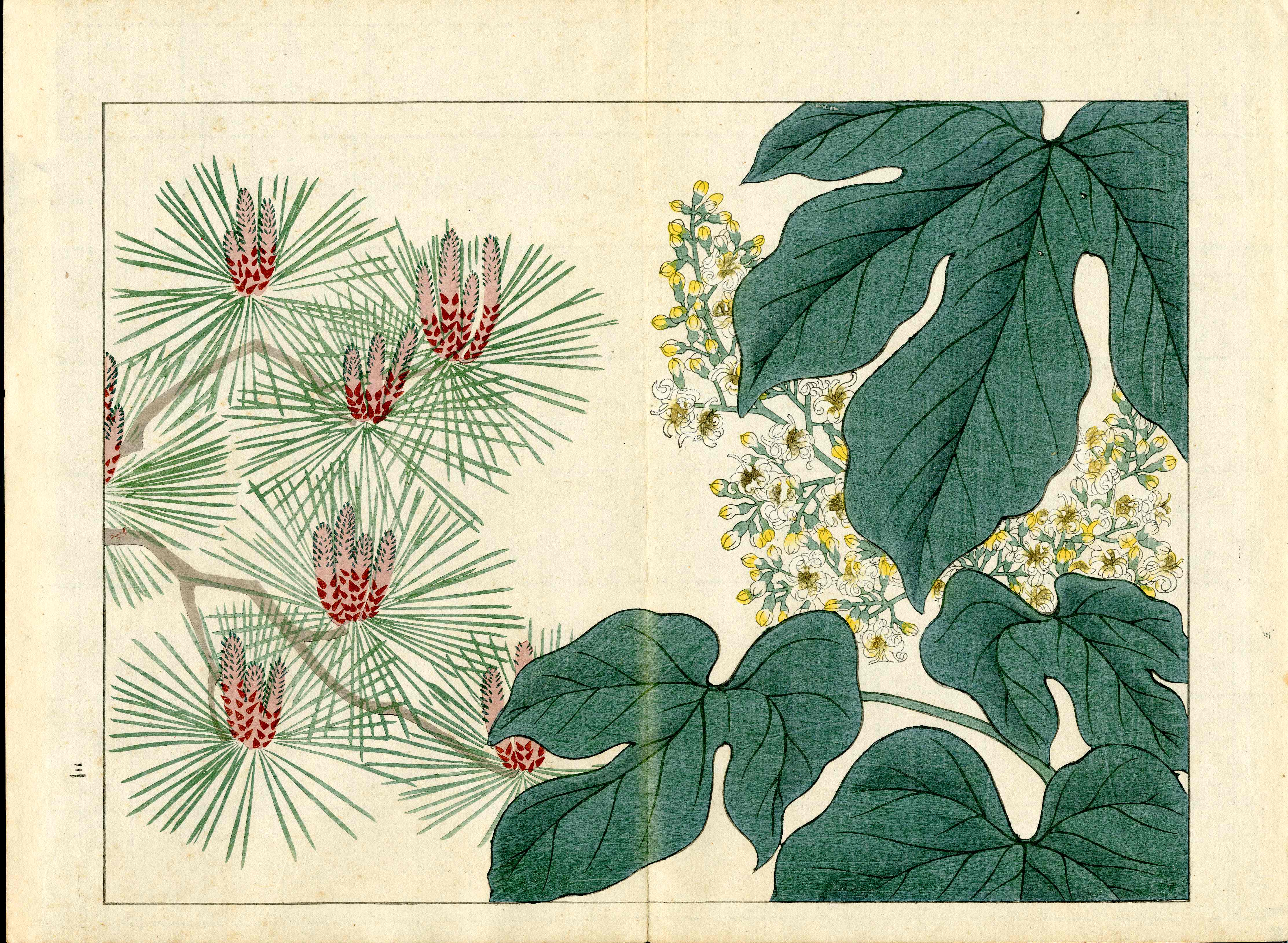 Four Seasons of Flowers 1907 Woodblock Pine Tree Tomioka Tessai