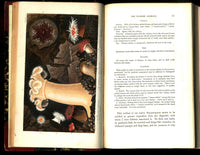 History Of The British Sea-Anemones And Corals 1860 by Phillip Gosse