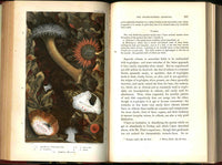 History Of The British Sea-Anemones And Corals 1860 by Phillip Gosse