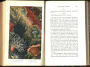 History Of The British Sea-Anemones And Corals 1860 by Phillip Gosse