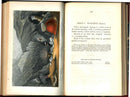 History Of The British Sea-Anemones And Corals 1860 by Phillip Gosse