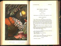 History Of The British Sea-Anemones And Corals 1860 by Phillip Gosse