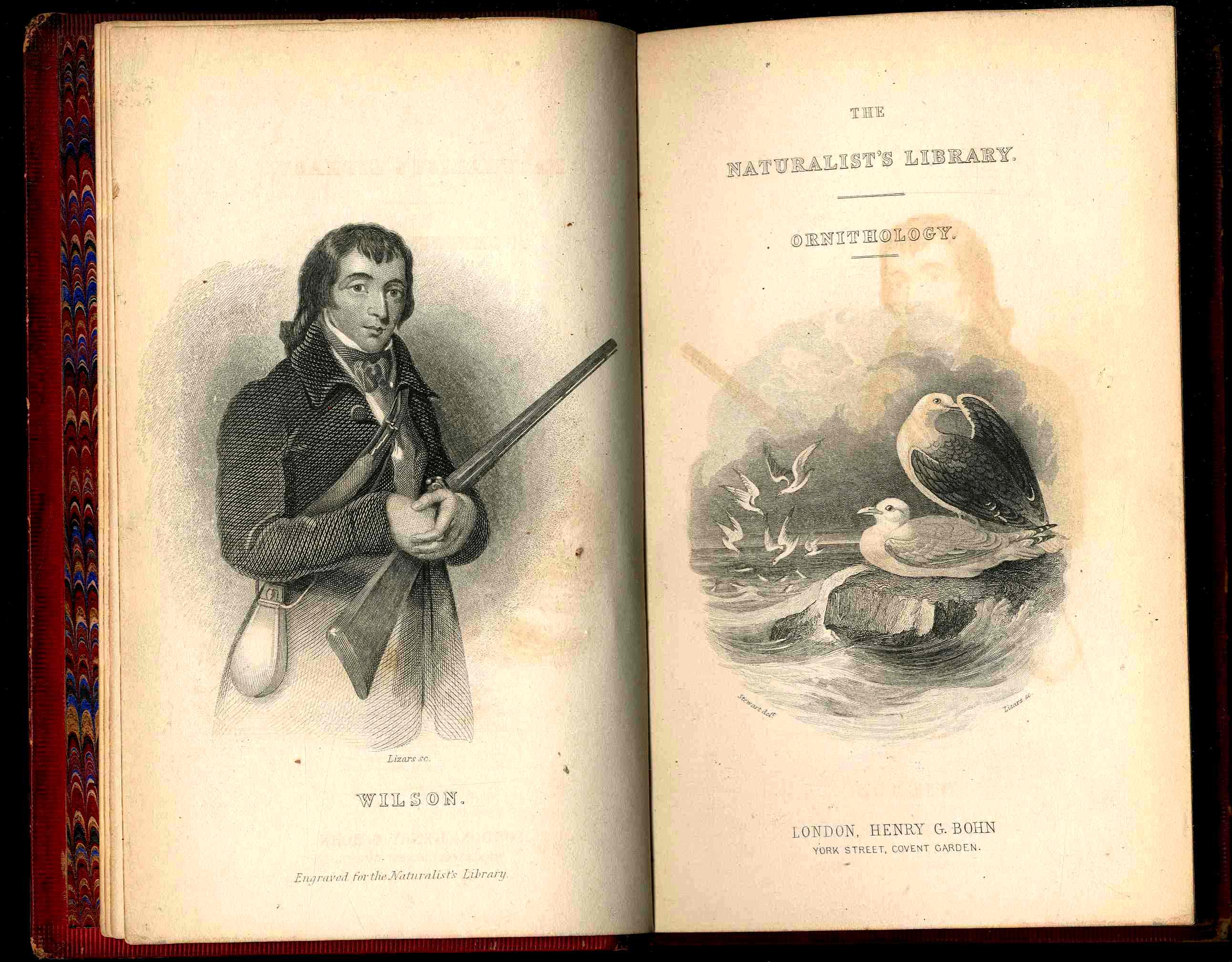 Jardine Naturalist's Library Birds Great Britain 1876 4 Book Set