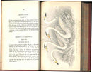 Jardine Naturalist's Library Birds Great Britain 1876 4 Book Set