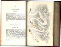 Jardine Naturalist's Library Birds Great Britain 1876 4 Book Set