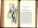 Jardine Naturalist's Library Birds Great Britain 1876 4 Book Set