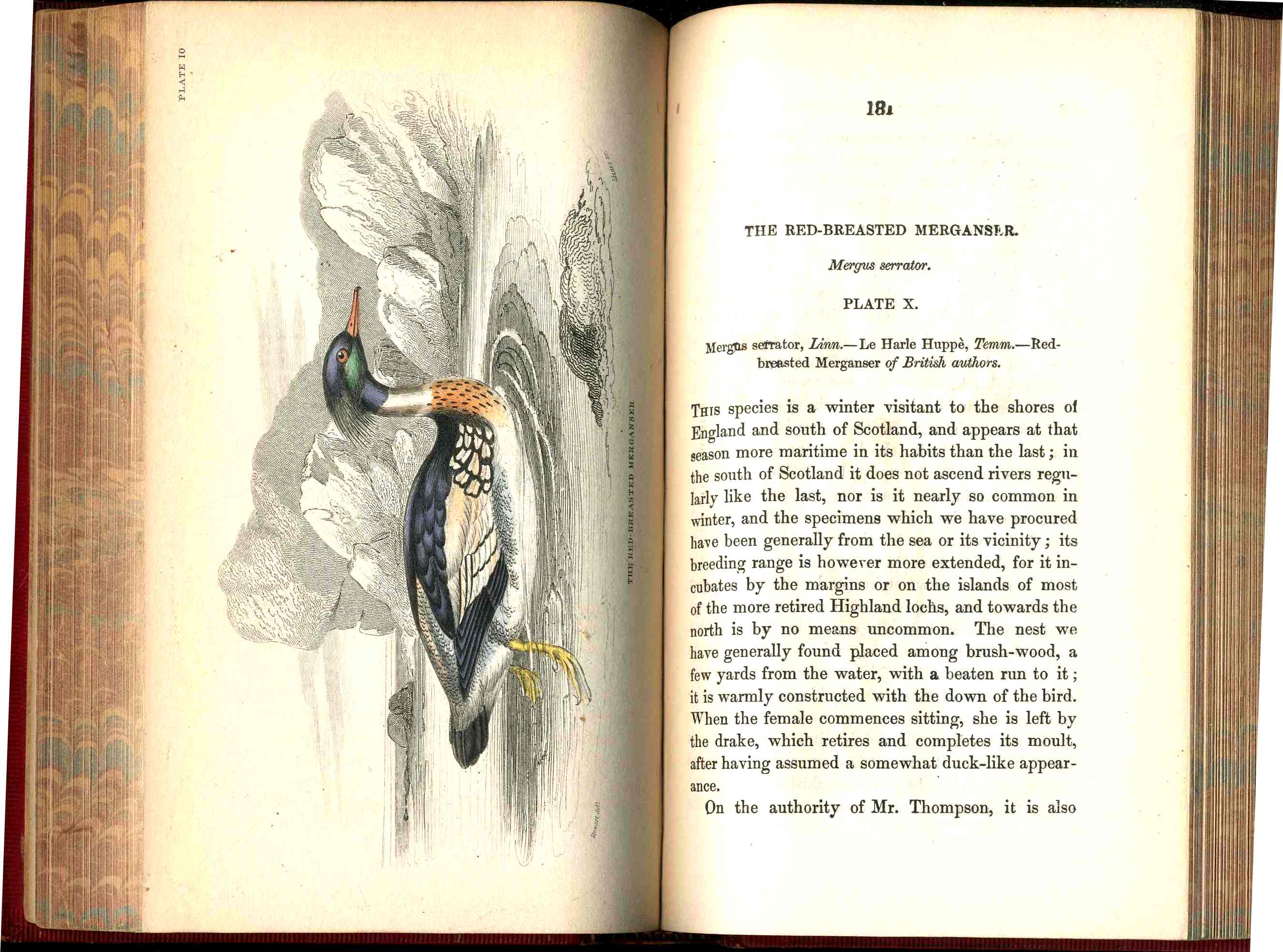Jardine Naturalist's Library Birds Great Britain 1876 4 Book Set