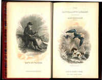 Jardine Naturalist's Library Birds Great Britain 1876 4 Book Set