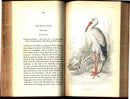 Jardine Naturalist's Library Birds Great Britain 1876 4 Book Set
