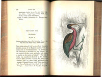 Jardine Naturalist's Library Birds Great Britain 1876 4 Book Set