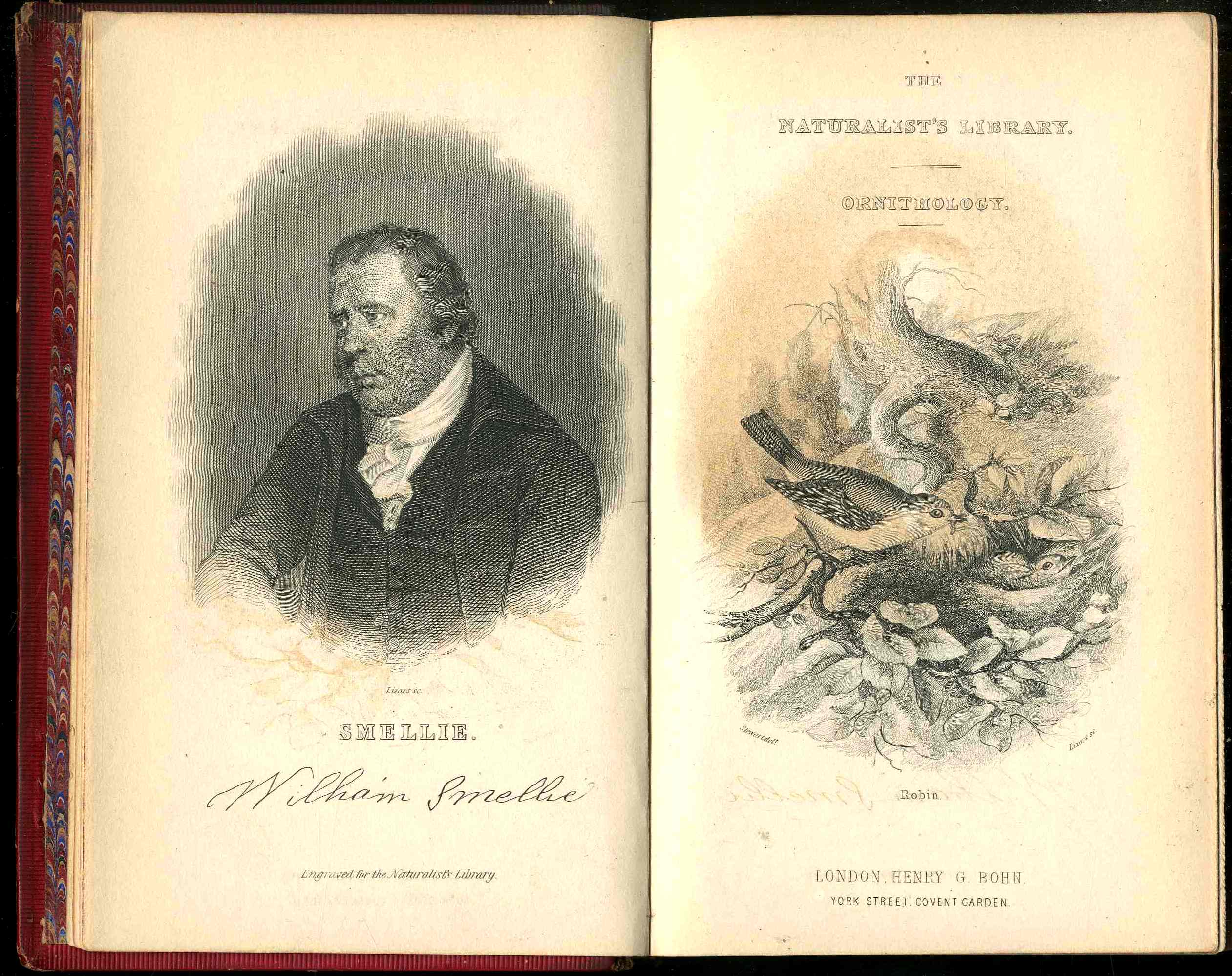 Jardine Naturalist's Library Birds Great Britain 1876 4 Book Set