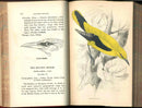 Jardine Naturalist's Library Birds Great Britain 1876 4 Book Set