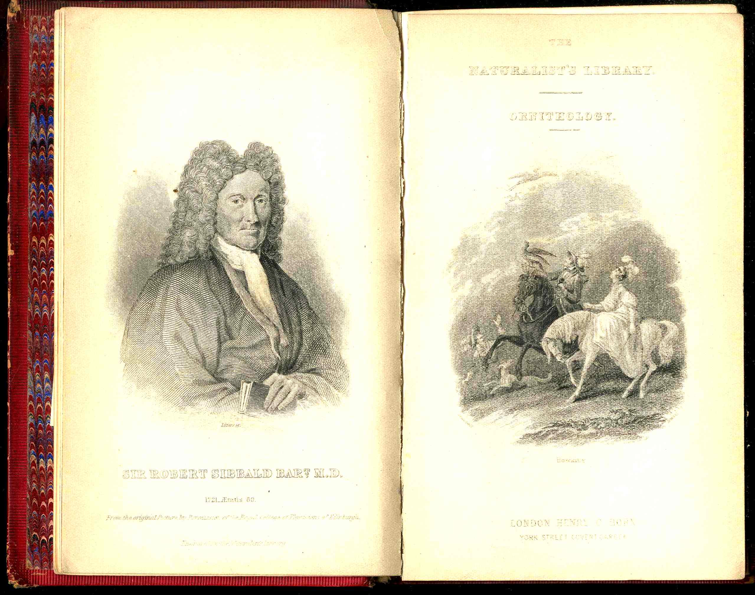 Jardine Naturalist's Library Birds Great Britain 1876 4 Book Set