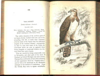 Jardine Naturalist's Library Birds Great Britain 1876 4 Book Set