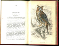 Jardine Naturalist's Library Birds Great Britain 1876 4 Book Set