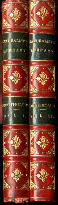 Jardine Naturalist's Library Ornithology Hummingbirds 1833, 2 Volumes 1st Edition
