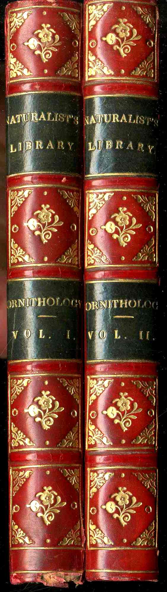 Jardine Naturalist's Library Ornithology Hummingbirds 1833, 2 Volumes 1st Edition