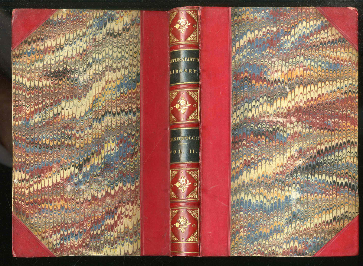 Jardine Naturalist's Library Ornithology Hummingbirds 1833, 2 Volumes 1st Edition - Panteek Antique Prints
