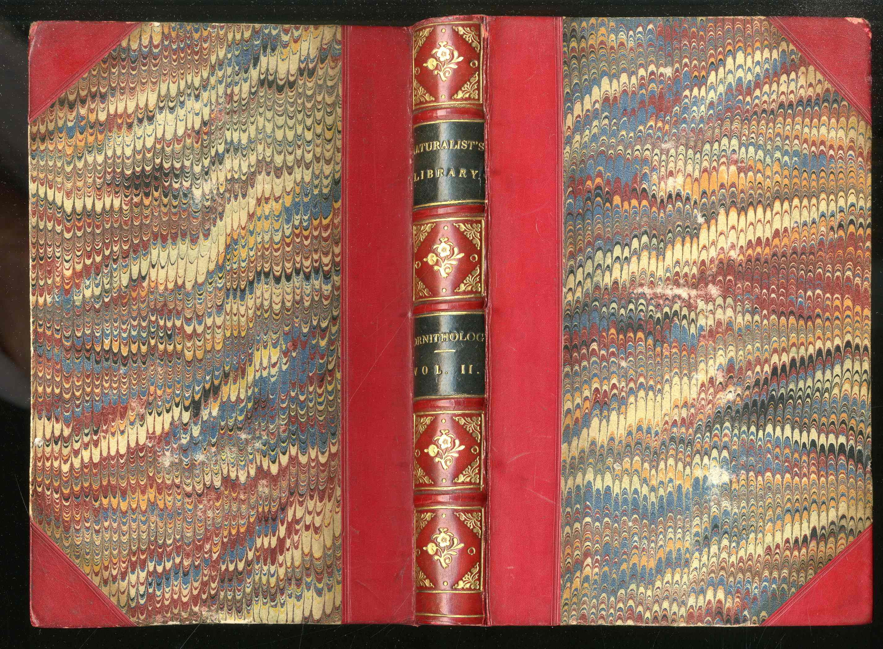 Jardine Naturalist's Library Ornithology Hummingbirds 1833, 2 Volumes 1st Edition