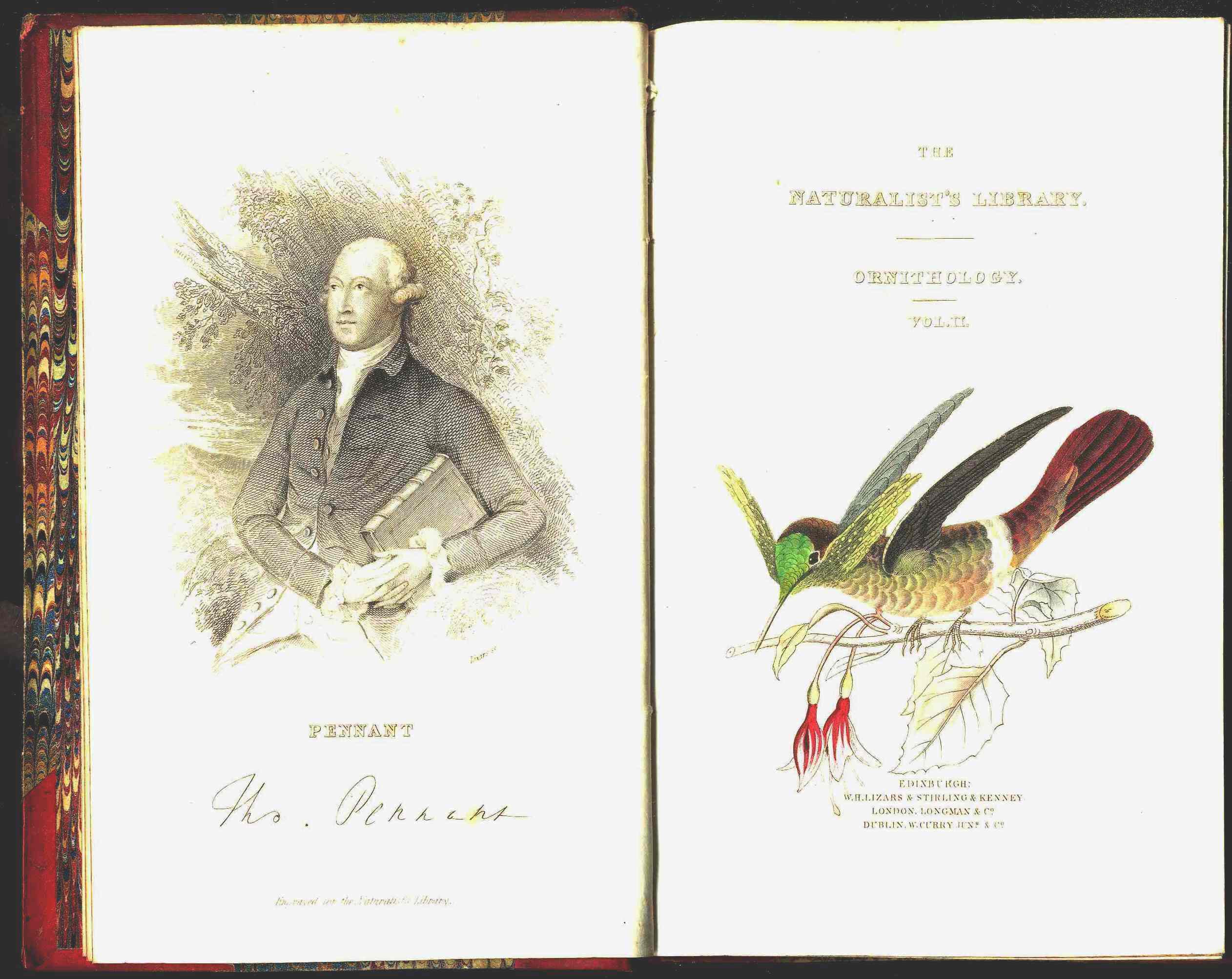 Jardine Naturalist's Library Ornithology Hummingbirds 1833, 2 Volumes 1st Edition