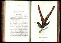 Jardine Naturalist's Library Ornithology Hummingbirds 1833, 2 Volumes 1st Edition