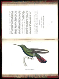Jardine Naturalist's Library Ornithology Hummingbirds 1833, 2 Volumes 1st Edition