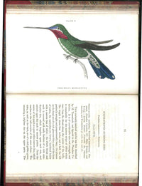 Jardine Naturalist's Library Ornithology Hummingbirds 1833, 2 Volumes 1st Edition