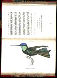 Jardine Naturalist's Library Ornithology Hummingbirds 1833, 2 Volumes 1st Edition