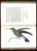 Jardine Naturalist's Library Ornithology Hummingbirds 1833, 2 Volumes 1st Edition