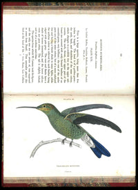 Jardine Naturalist's Library Ornithology Hummingbirds 1833, 2 Volumes 1st Edition