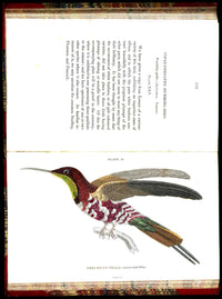 Jardine Naturalist's Library Ornithology Hummingbirds 1833, 2 Volumes 1st Edition