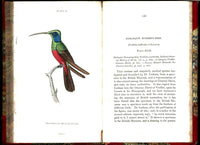 Jardine Naturalist's Library Ornithology Hummingbirds 1833, 2 Volumes 1st Edition
