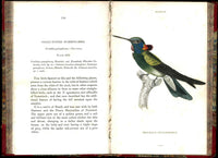 Jardine Naturalist's Library Ornithology Hummingbirds 1833, 2 Volumes 1st Edition