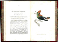 Jardine Naturalist's Library Ornithology Hummingbirds 1833, 2 Volumes 1st Edition
